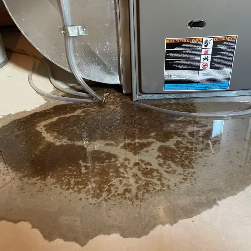 Pipe Burst and Leak Restoration in Proctor, MN